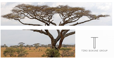 Tiro Bokone Lifestyle Logo